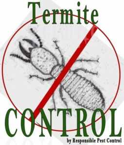 Phoenix Termite Control