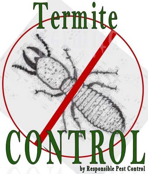 Termite Control