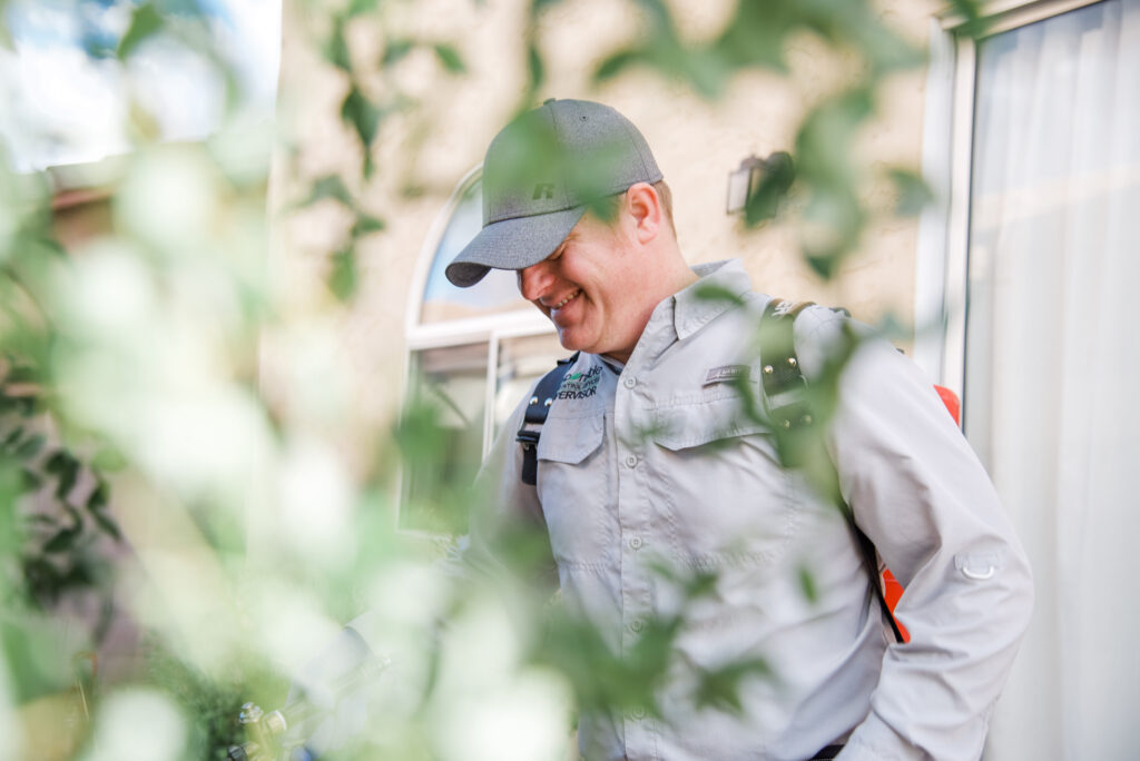 Mesa Pest Control Responsible Pest Control Mesa, AZ