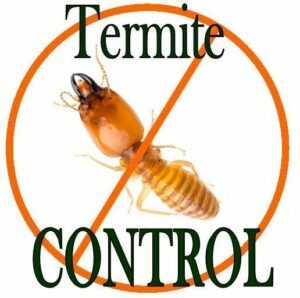 Best Pest Control Utah