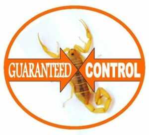 scorpion pest control