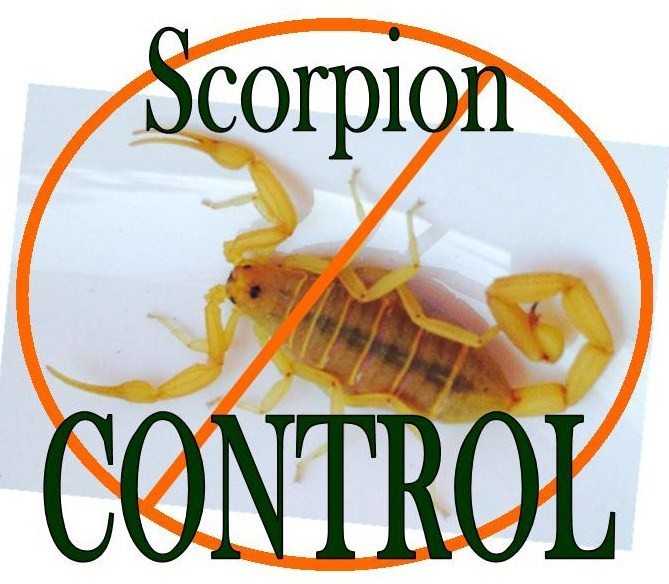 "Scorpion control."
