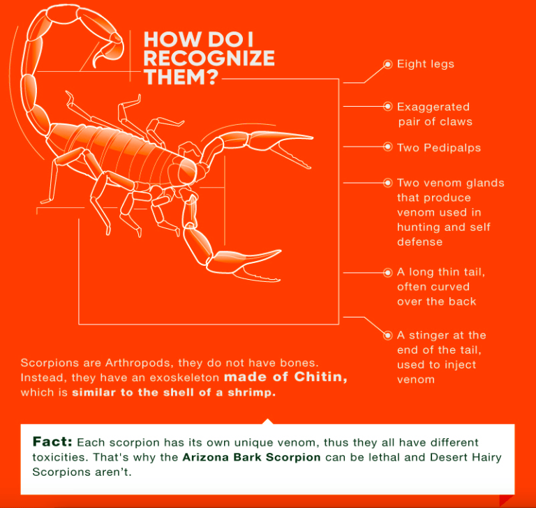 See the full infographic here