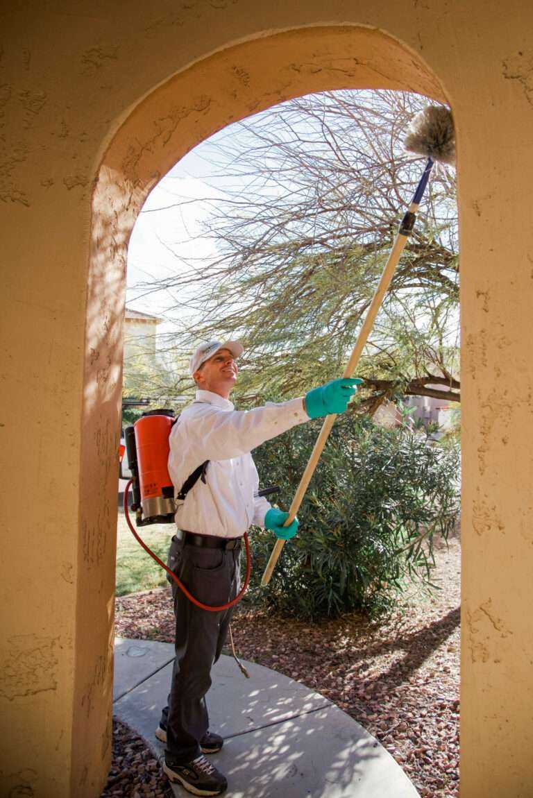 At Responsible Pest & Scorpion Control, we guarantee effective scorpion