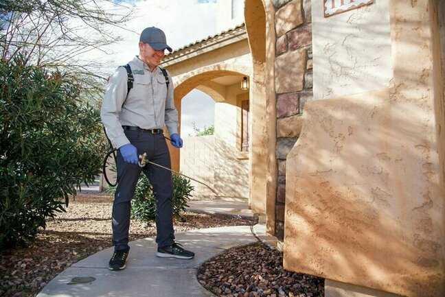 Responsible Pest & Scorpion Control photo 2