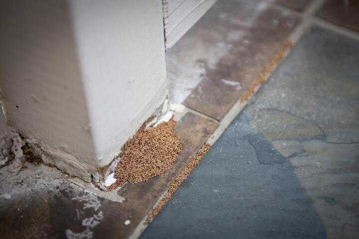 A pile of termite droppings next to the banister of a house