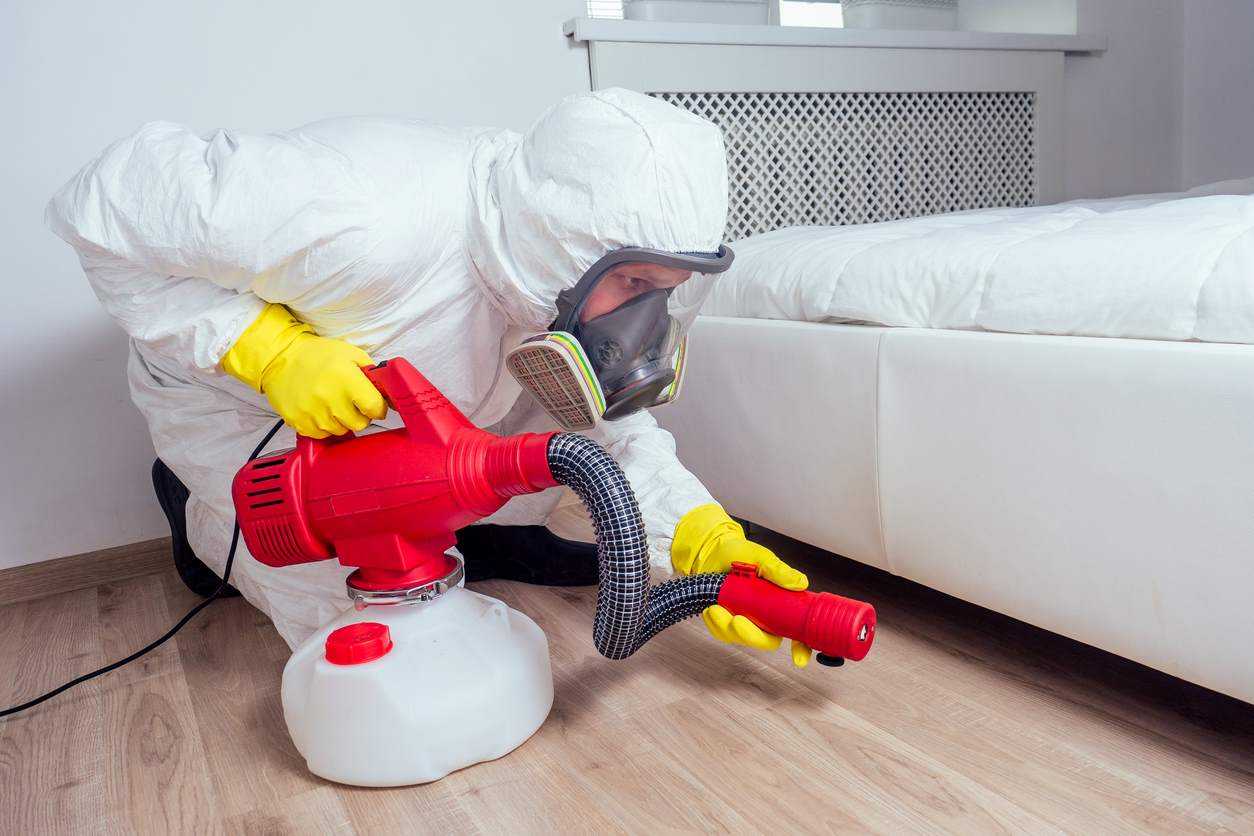 A pest control technician spraying underneath a bed