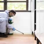 A person in protective clothing, gloves, mask, and goggles kneels on a wooden floor while spraying liquid along the base of a wall inside a room, likely performing cockroach control using safe solutions.
