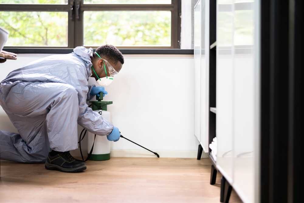 A person in protective clothing, gloves, mask, and goggles kneels on a wooden floor while spraying liquid along the base of a wall inside a room, likely performing cockroach control using safe solutions.