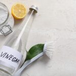 A glass jar of baking soda, a halved lemon, a clear bottle labeled "vinegar," a green leaf, and a white scrub brush are arranged on a light surface—natural essentials often used for ant control.