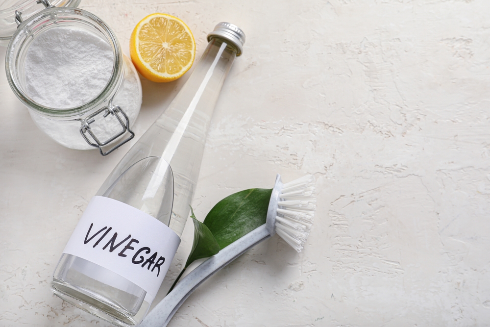 Featured image for Is Vinegar an Effective Solution for Ant Control?