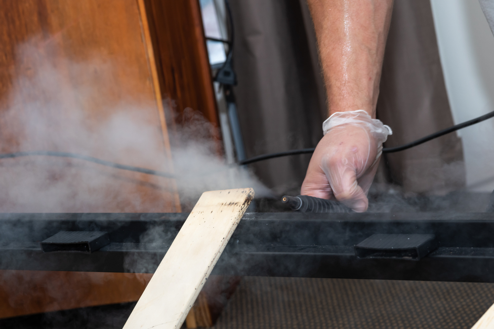 Featured image for Effective Bedbug Treatment Tips for a Pest-Free Home