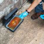 A person wearing blue gloves and work boots is inspecting or placing a rodent bait station containing orange-brown gel bait next to a stone wall on a concrete surface.