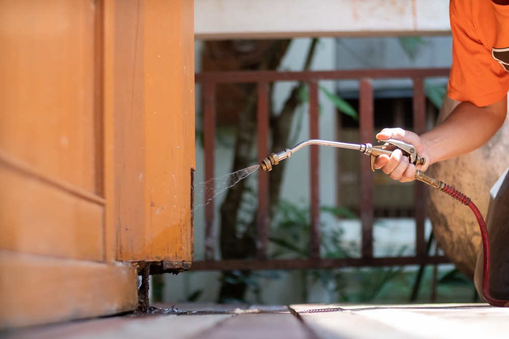 Featured image for Find the Right Ant Exterminator for Your Home Fast & Easy