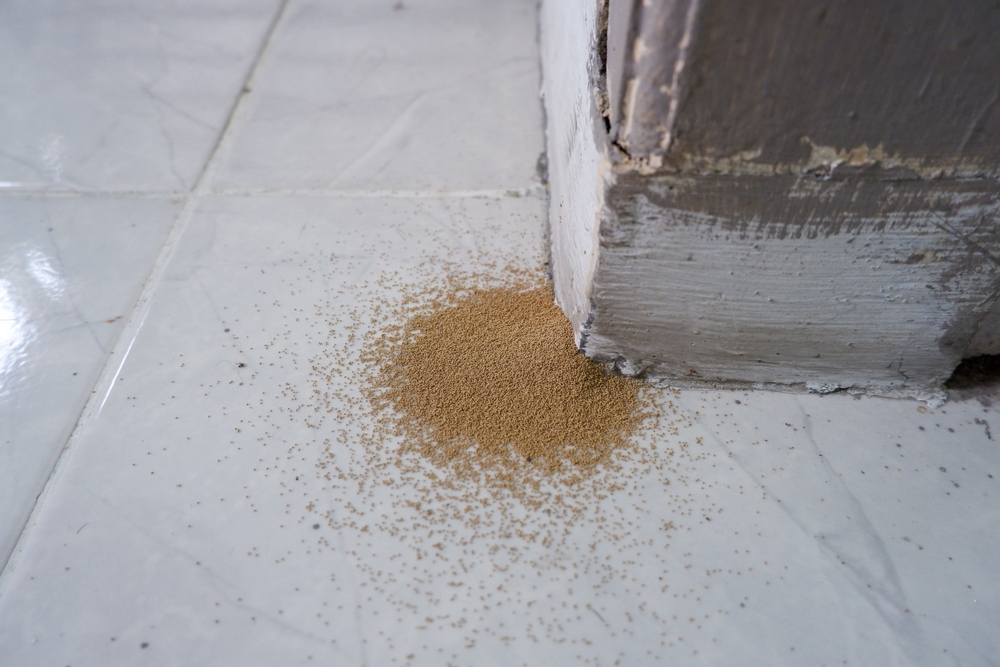 A small pile of light brown termite droppings is gathered on a white tiled floor near the base of a gray painted wall corner, one of the early termite signs to watch for in effective termite prevention.