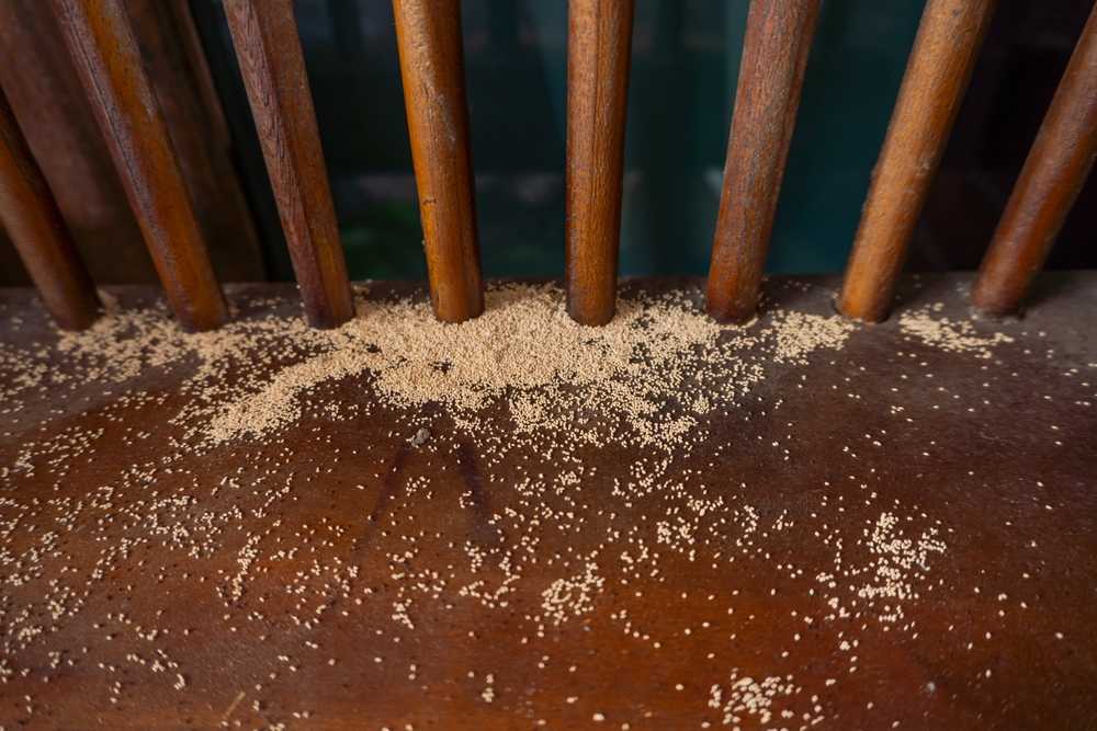 A close-up of a wooden surface with scattered termite feces beneath vertical wooden bars, showing clear signs of termites and indicating a possible termite infestation.