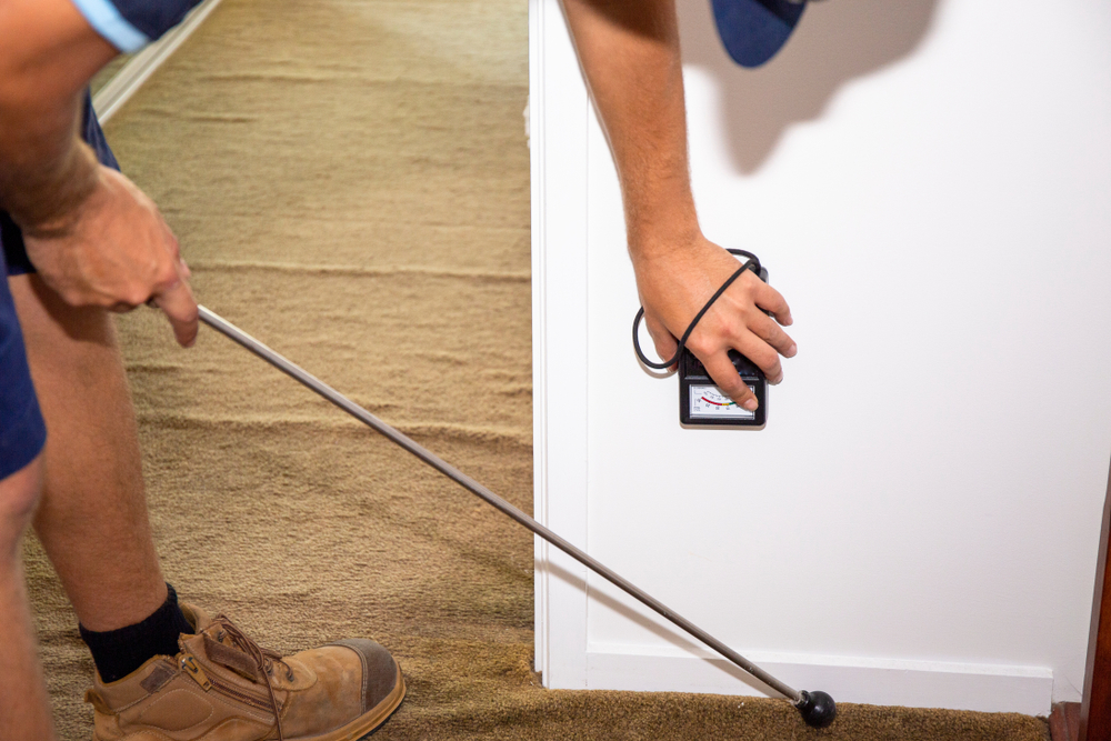 Featured image for Trusted Termite Inspectors for a Safe Home