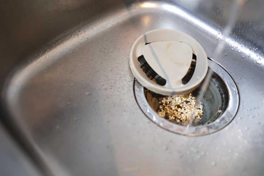 Featured image for How to Identify House Cockroaches: Types, Signs, and Prevention