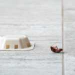 A white cockroach bait trap sits on a light gray tiled floor next to a dead cockroach lying on its back, highlighting effective roach removal and helping reduce roach risks in your home.